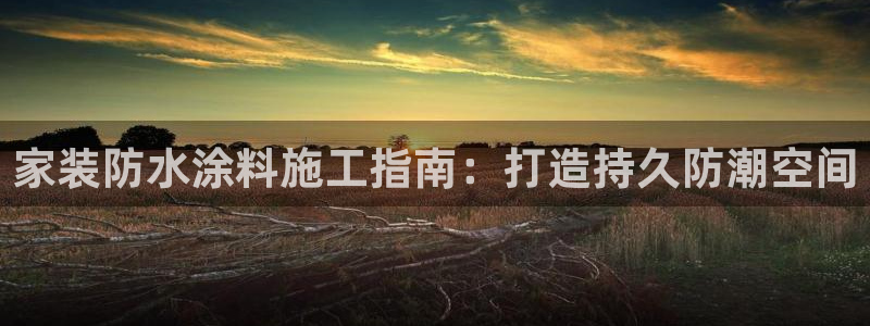和记官方：家装防水涂料施工指南：打造持久防潮空间