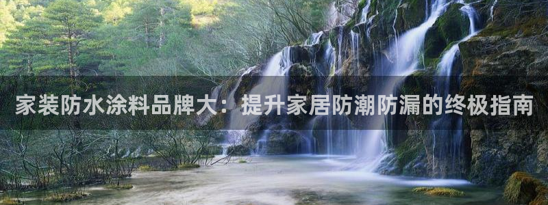 和记官方网址：家装防水涂料品牌大：提升家居防潮防漏的终极指南
