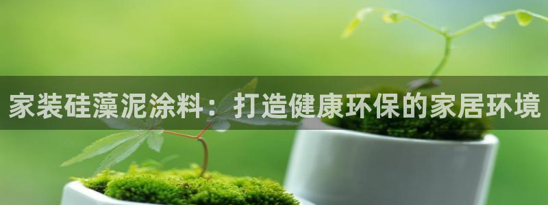 和记ag：家装硅藻泥涂料：打造健康环保的家居环境