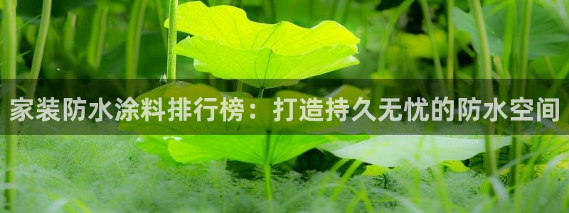 和记hj：家装防水涂料排行榜：打造持久无忧的防水空间