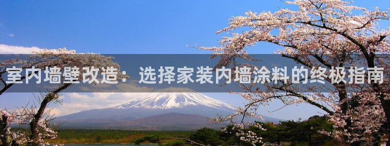 和记Ag：室内墙壁改造：选择家装内墙涂料的终极指南