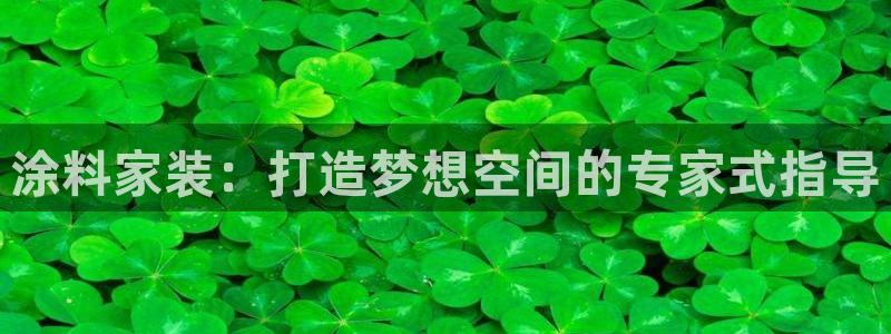 和记5g电讯：涂料家装：打造梦想空间的专家式指导
