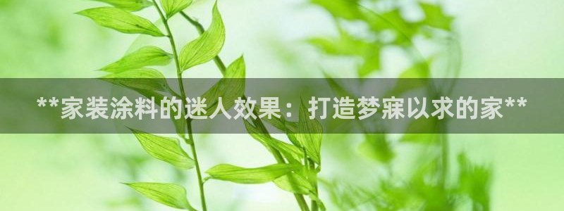 和记网页版：**家装涂料的迷人效果：打造梦寐以求的家**