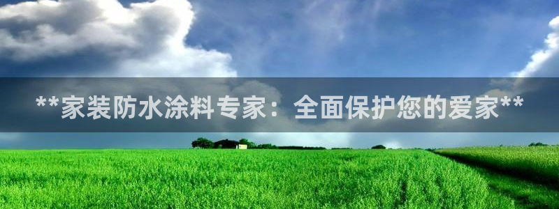 和记平台官方网：**家装防水涂料专家：全面保护您的爱家**