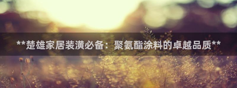 和记 首页：**楚雄家居装潢必备：聚氨酯涂料的卓越品质**