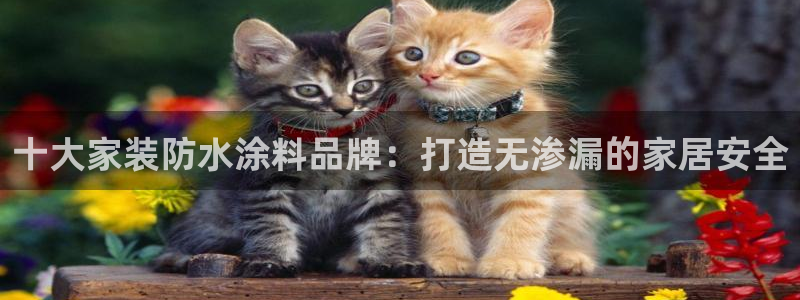 江苏和记餐饮有限公司：十大家装防水涂料品牌：打造无渗漏的家居安全