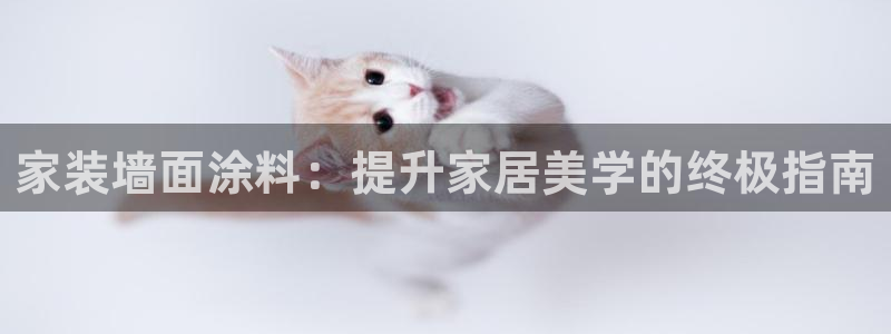 和记国际官网官网：家装墙面涂料：提升家居美学的终极指南
