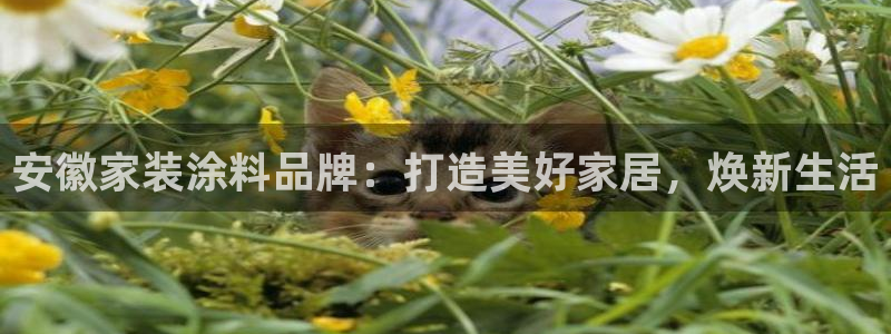 和记ag旗舰：安徽家装涂料品牌：打造美好家居，焕新生活