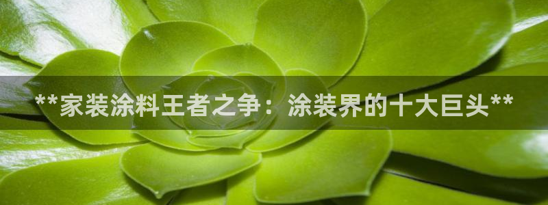 和记pc：**家装涂料王者之争：涂装界的十大巨头**
