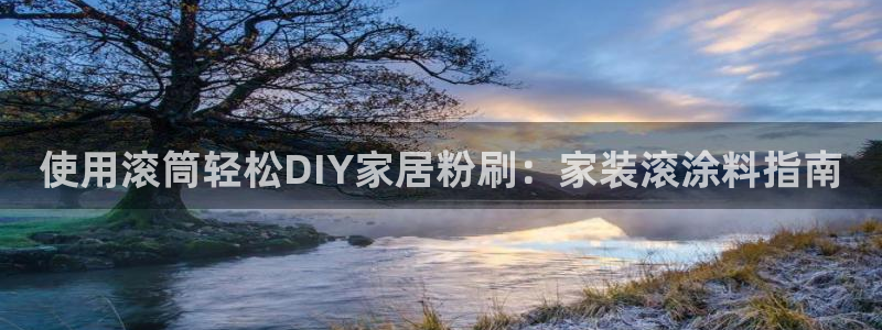 和记注册有什么送的：使用滚筒轻松DIY家居粉刷：家装滚涂料指南