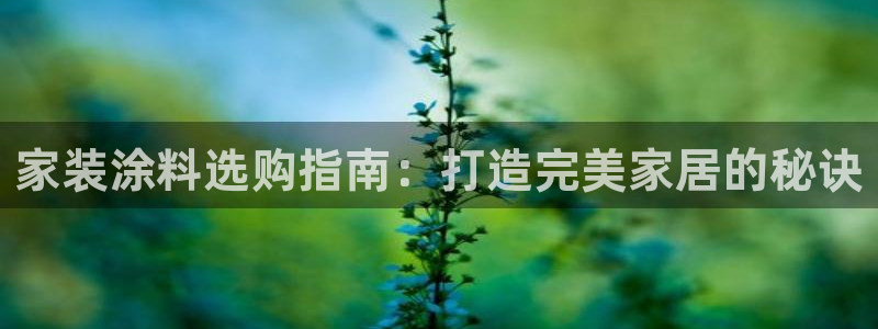 和记ag：家装涂料选购指南：打造完美家居的秘诀