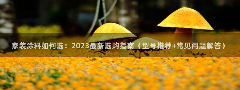 和记(福建)商贸有限公司：家装涂料如何选：2023最新选购指南（型号推荐+常见问题解答）