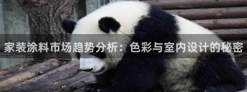 和记下载：家装涂料市场趋势分析：色彩与室内设计的秘密