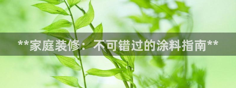 上海和记餐饮有限公司：**家庭装修：不可错过的涂料指南**