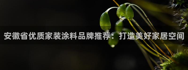 和记网页：安徽省优质家装涂料品牌推荐：打造美好家居空间