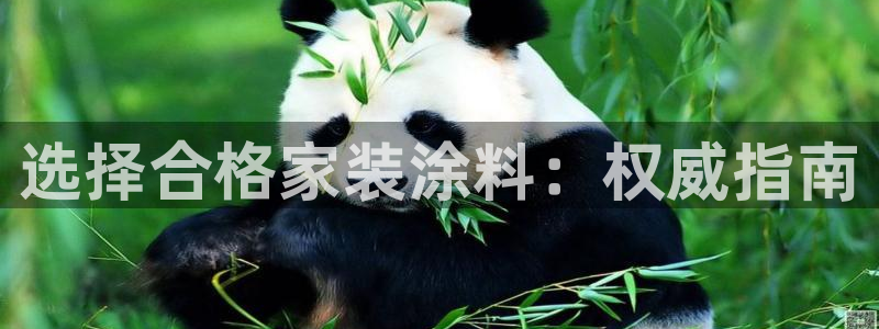 和记网页版登陆：选择合格家装涂料：权威指南