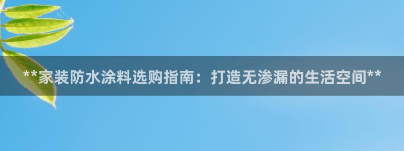 ag和记app：**家装防水涂料选购指南：打造无渗漏的生活空间**