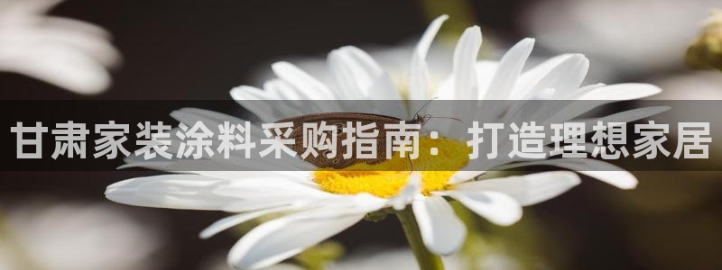 和记官网首页：甘肃家装涂料采购指南：打造理想家居