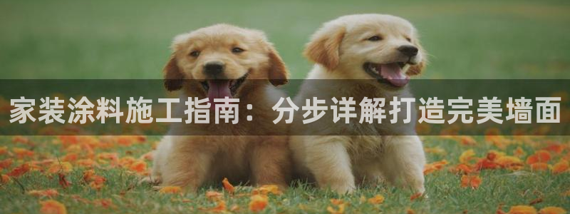 和记国际官网官网