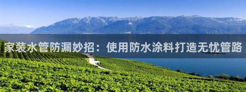 和记平台官方网：家装水管防漏妙招：使用防水涂料打造无忧管路