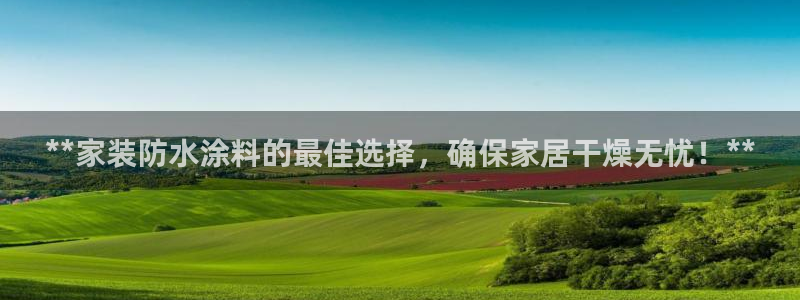 和记app官网登录：**家装防水涂料的最佳选择，确保家居干燥无忧！**