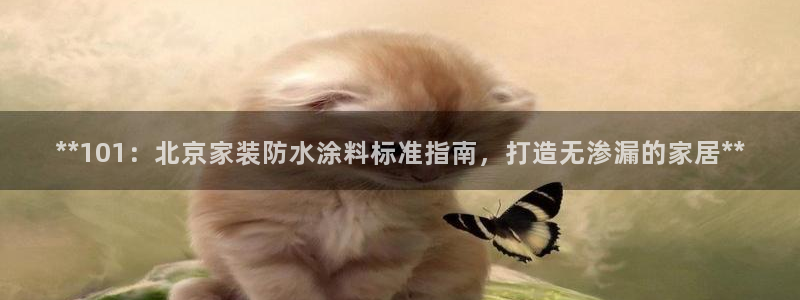和记AG网站：**101：北京家装防水涂料标准指南，打造无渗漏的家居**
