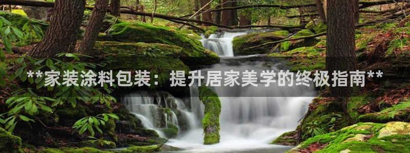 和记ag旗舰：**家装涂料包装：提升居家美学的终极指南**