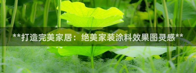 和记网页