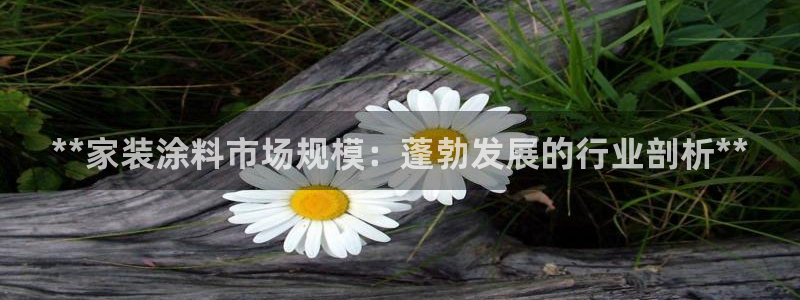 和记国际开户网站