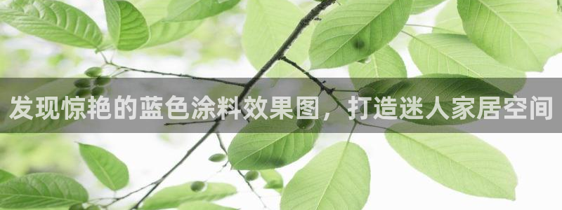 和记(福建)商贸有限公司招聘：发现惊艳的蓝色涂料效果图，打造迷人家居空间