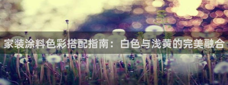 和记国际听
