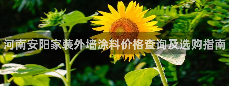江苏和记餐饮有限公司：河南安阳家装外墙涂料价格查询及选购指南