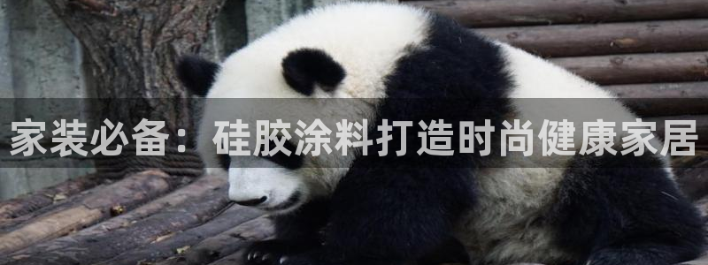 和记港口：家装必备：硅胶涂料打造时尚健康家居
