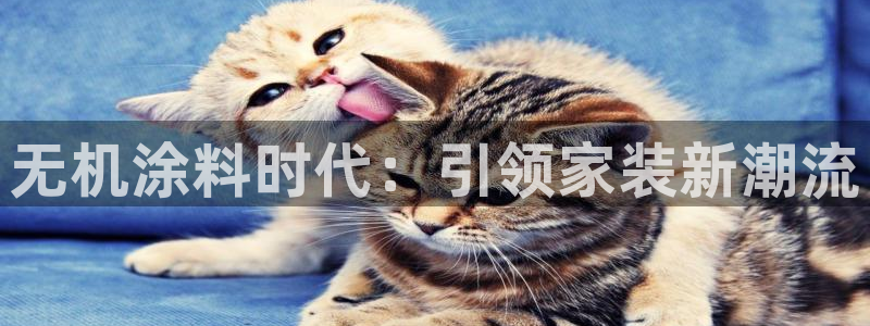 和记 首页：无机涂料时代：引领家装新潮流