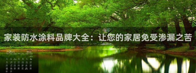 和记官方直营：家装防水涂料品牌大全：让您的家居免受渗漏之苦