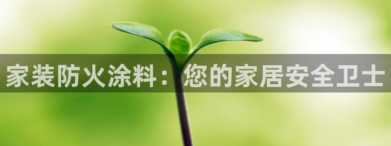 和记h88游戏：家装防火涂料：您的家居安全卫士