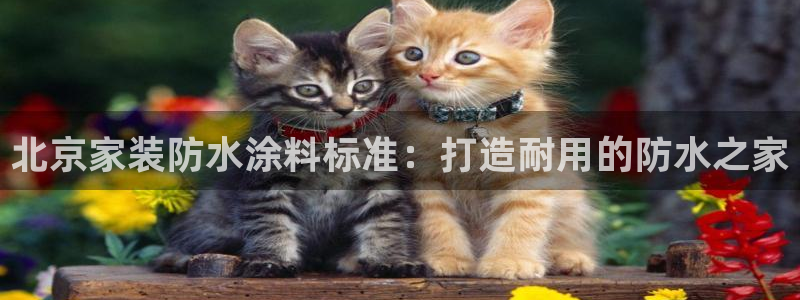 和记(福建)商贸有限公司：北京家装防水涂料标准：打造耐用的防水之家