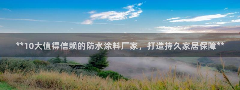 和记平台下载：**10大值得信赖的防水涂料厂家，打造持久家居保障**