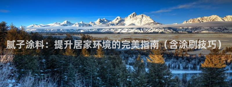 和记ag网址：腻子涂料：提升居家环境的完美指南（含涂刷技巧）
