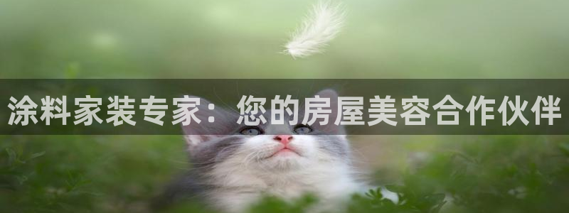 和记平台登陆：涂料家装专家：您的房屋美容合作伙伴