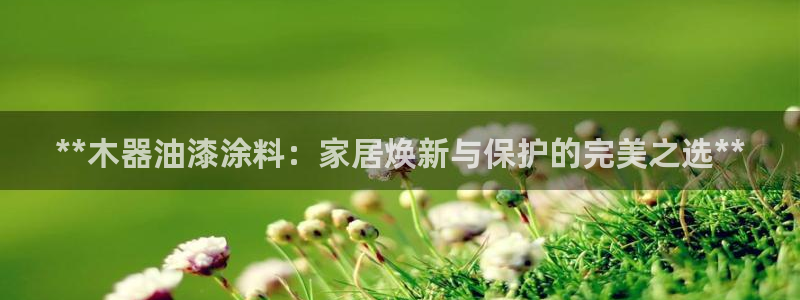 和记h8