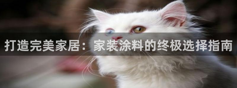 和记平台官网：打造完美家居：家装涂料的终极选择指南