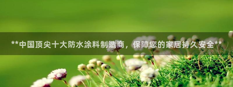 和记国际：**中国顶尖十大防水涂料制造商，保障您的家居持久安全**
