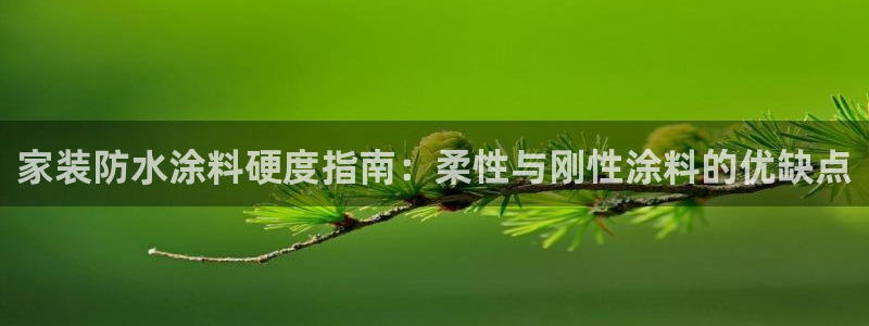 和记网页版登陆：家装防水涂料硬度指南：柔性与刚性涂料的优缺点