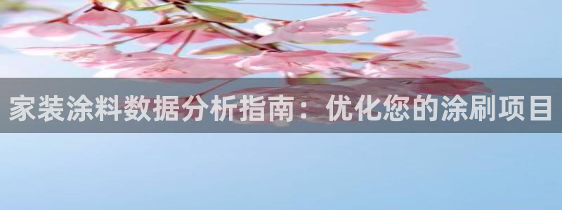 和记登陆：家装涂料数据分析指南：优化您的涂刷项目