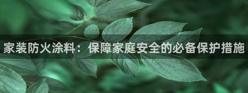和记国际听：家装防火涂料：保障家庭安全的必备保护措施