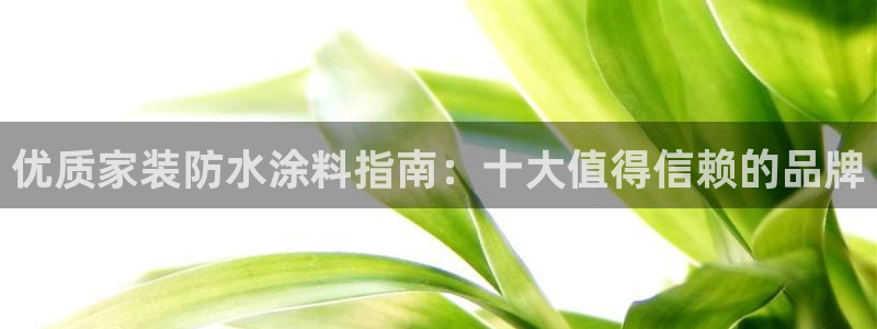 和记网页版登陆：优质家装防水涂料指南：十大值得信赖的品牌