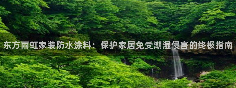 和记网页版登陆：东方雨虹家装防水涂料：保护家居免受潮湿侵害的终极指南