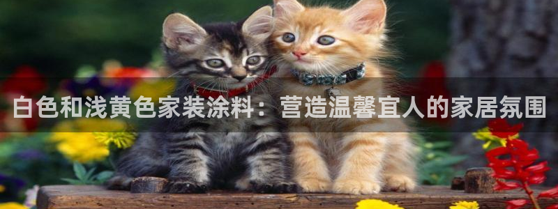 和记 官网：白色和浅黄色家装涂料：营造温馨宜人的家居氛围