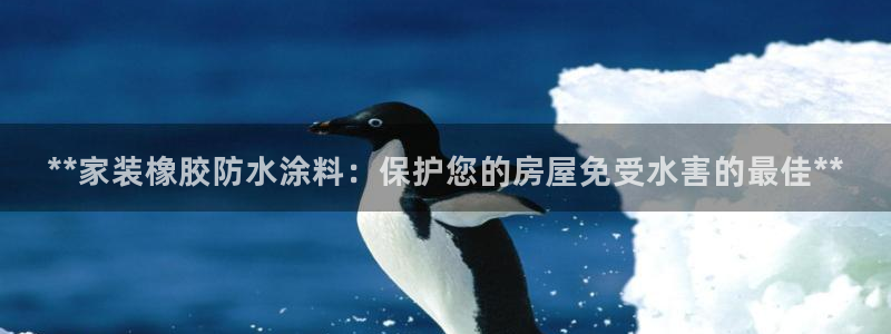 和记官方平台：**家装橡胶防水涂料：保护您的房屋免受水害的最佳**